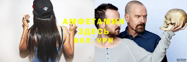 молекула духа Киреевск