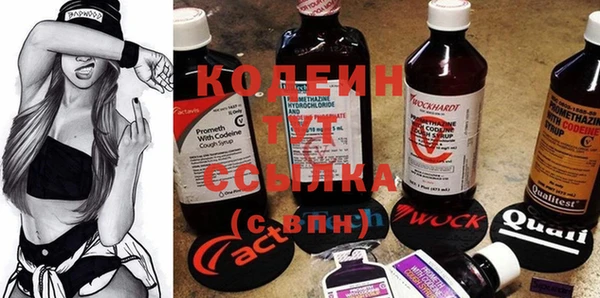 молекула духа Киреевск
