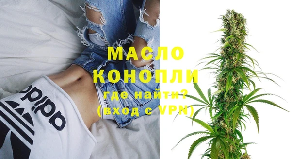 молекула духа Киреевск