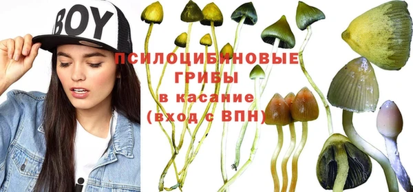 МДМА Карпинск