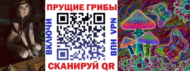Галлюциногенные грибы Cubensis  Комсомольск-на-Амуре 