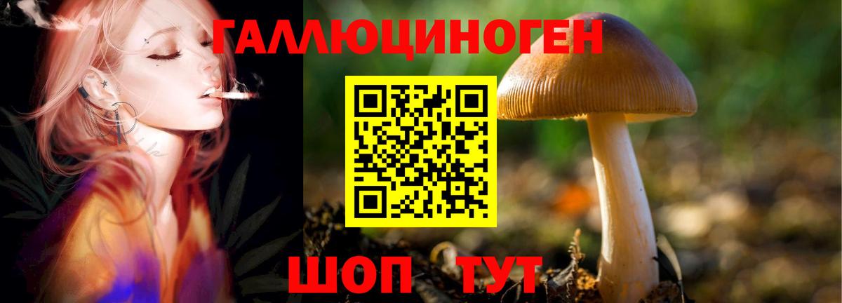 наркотики  Псилоцибиновые грибы Psilocybine cubensis  Вход с VPN  Комсомольск-на-Амуре 