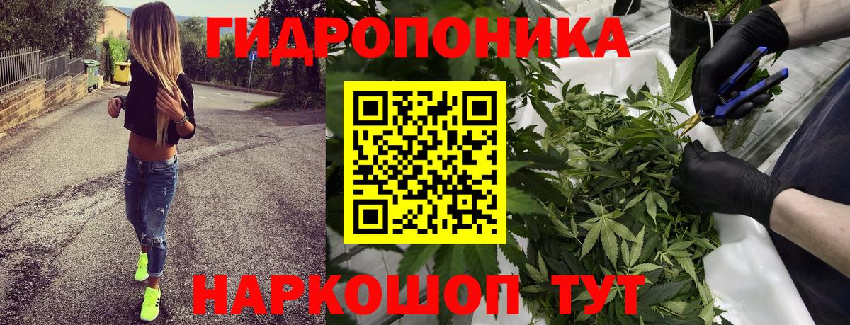 Марихуана Ganja  Бошки марихуана семена  МАРИХУАНА White Widow  Комсомольск-на-Амуре 